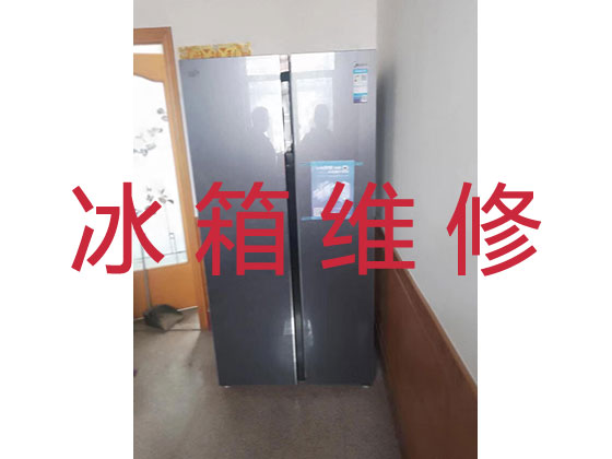 上海冰箱冰柜维修